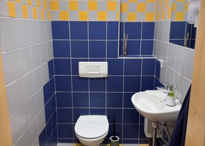 WC-Sanierung Freistadt Vorher